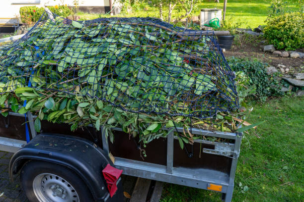 Best Shed Removal  in Naranja, FL